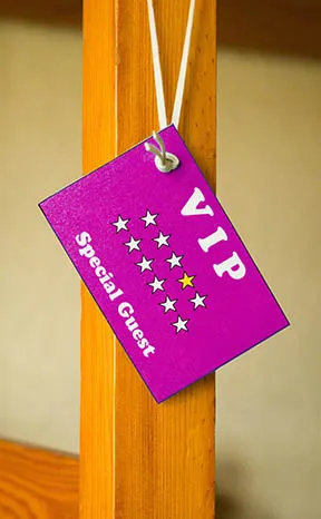 VIP och lojalitetsprogram på casino utan licens