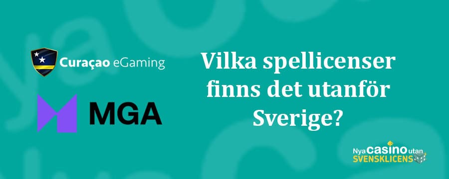 Vilka spellicenser finns det utanför Sverige